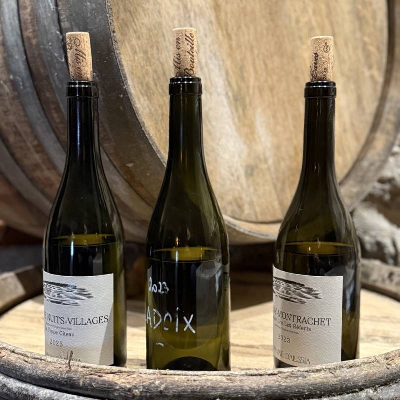 Puligny-Montrachet 1er Cru Les Referts 2023