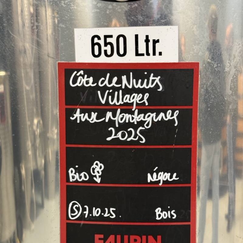 Cote de Nuits Villages Aux Montagnes 2023