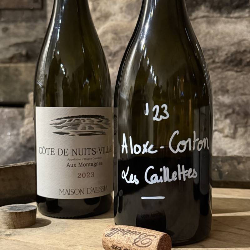 Cote de Nuits Villages Aux Montagnes 2023