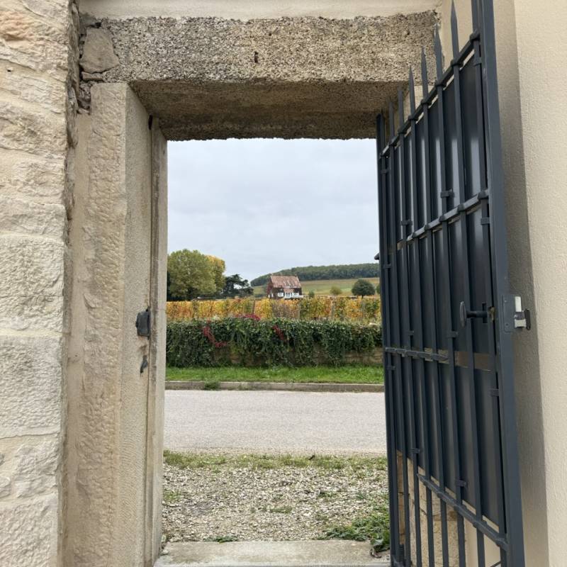 Coteaux Bourguignons 2023