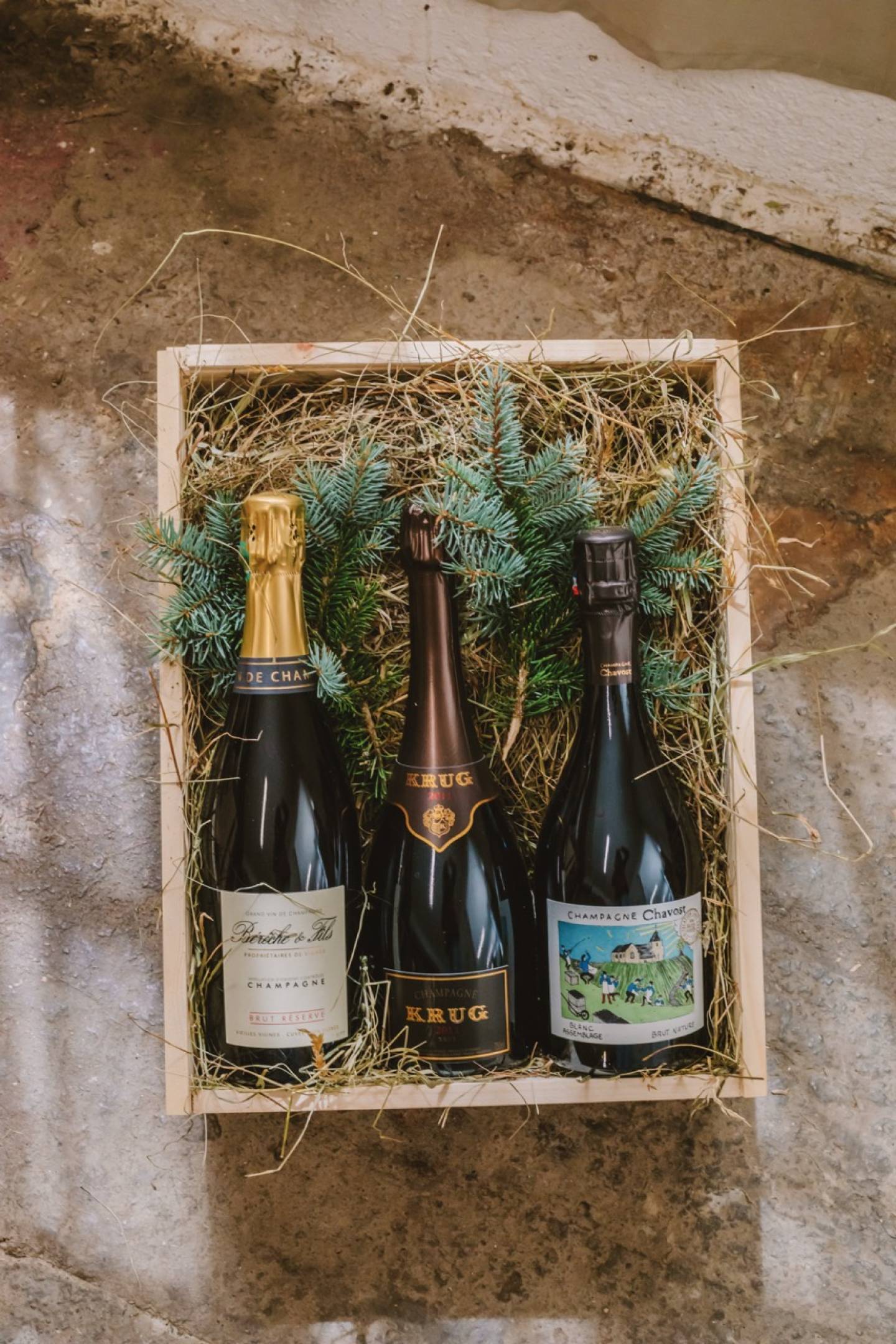 Cosa regalare a un appassionato di vino: idee regalo wild per ogni budget