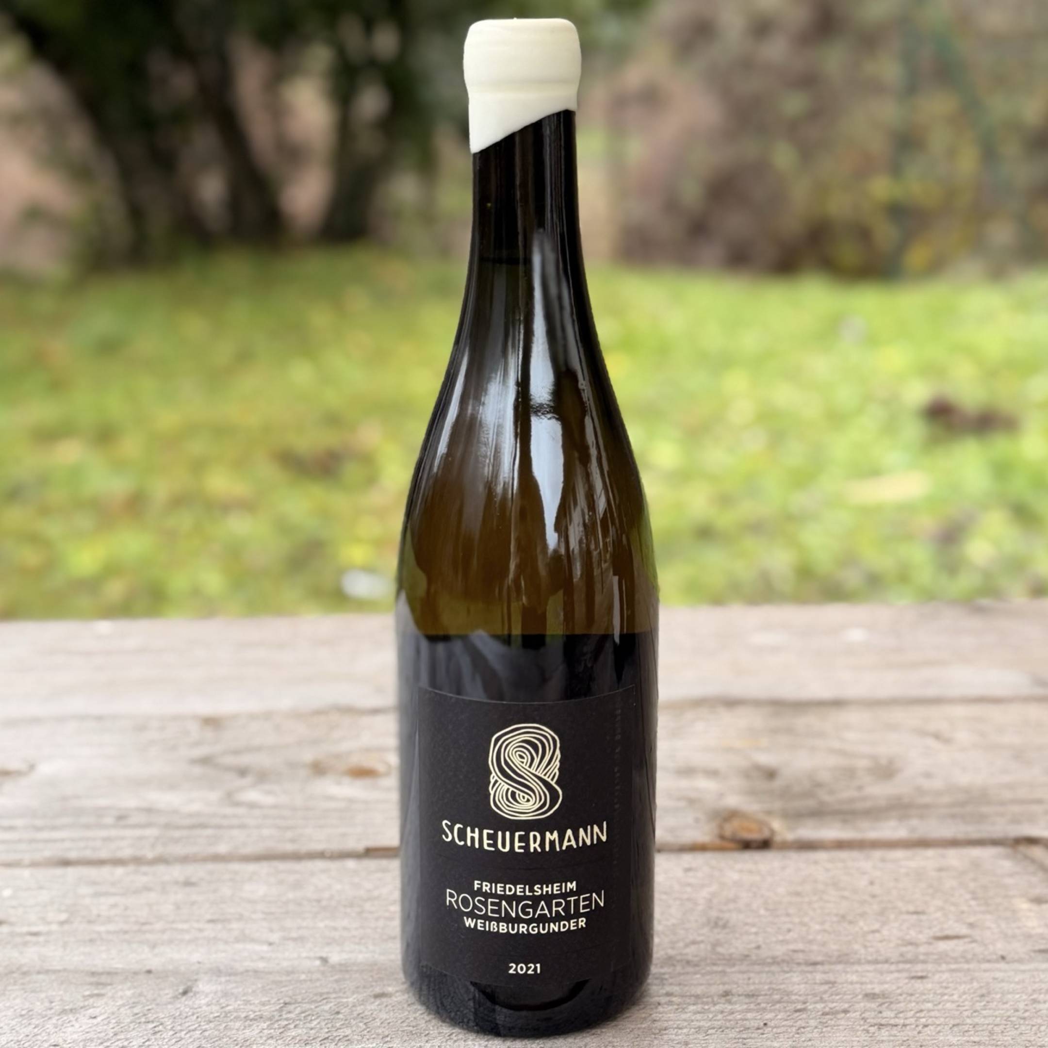 Scheuermann Friedelsheim Weissburgunder Rosengarten 2021