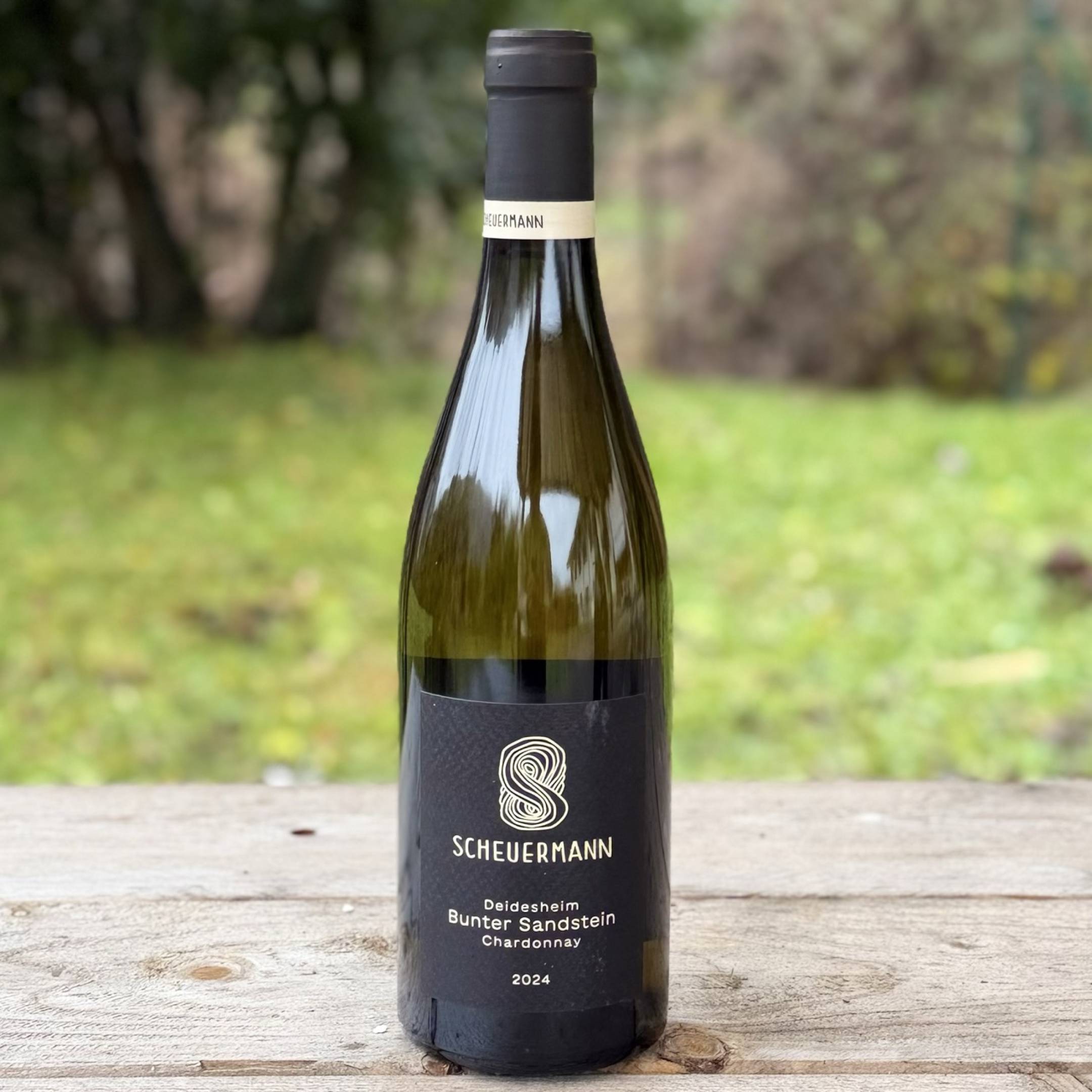 Scheuermann Deidesheim Bunter Sandstein 2024