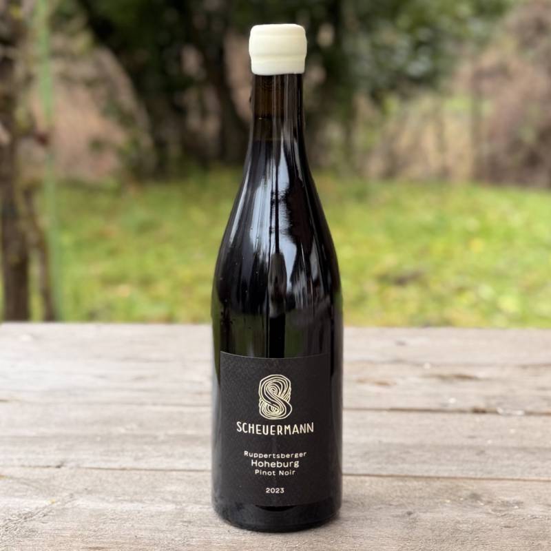 Ruppertsberger Hoheburg Pinot Noir 2023