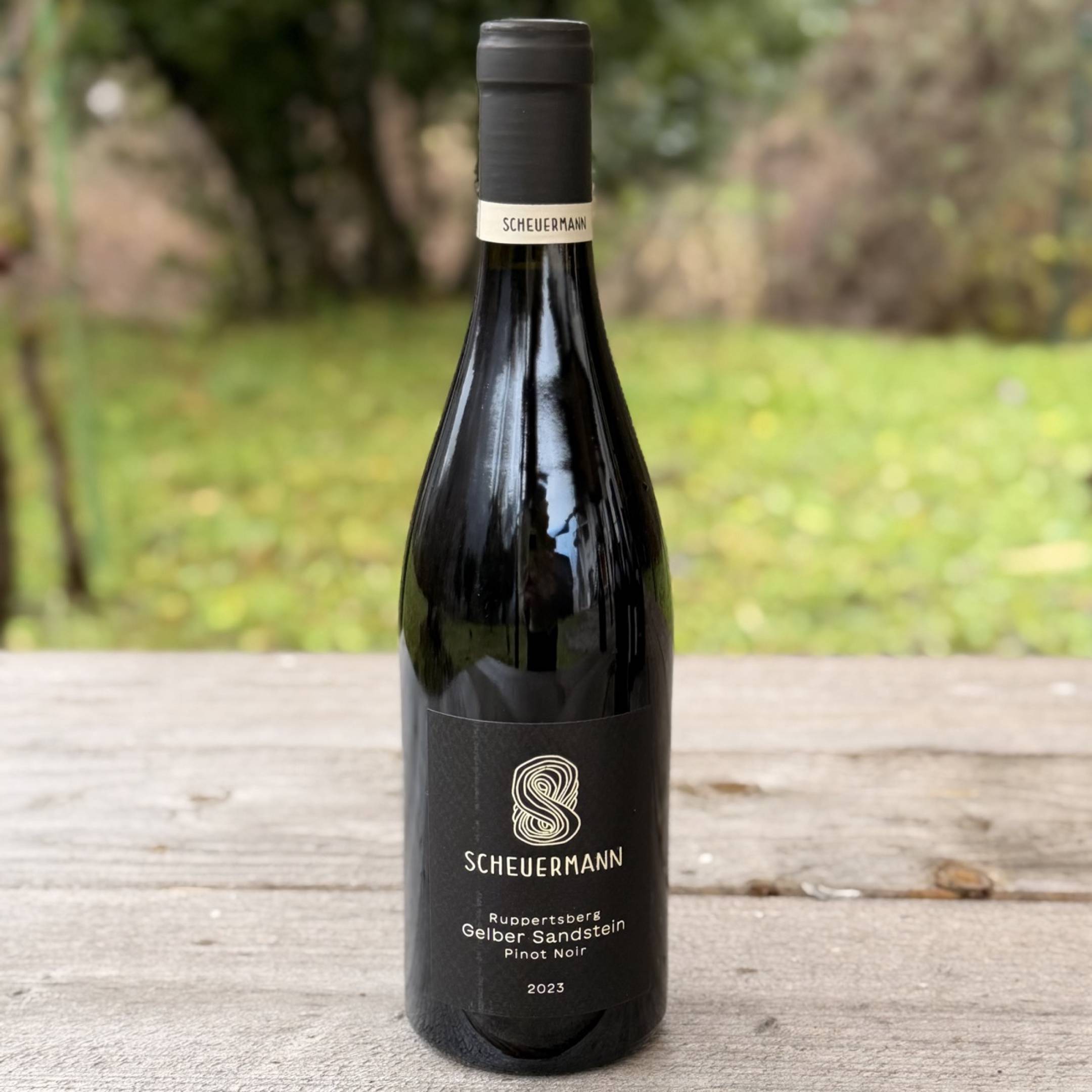 Scheuermann Ruppertsberg Gelber Sandstein 2023