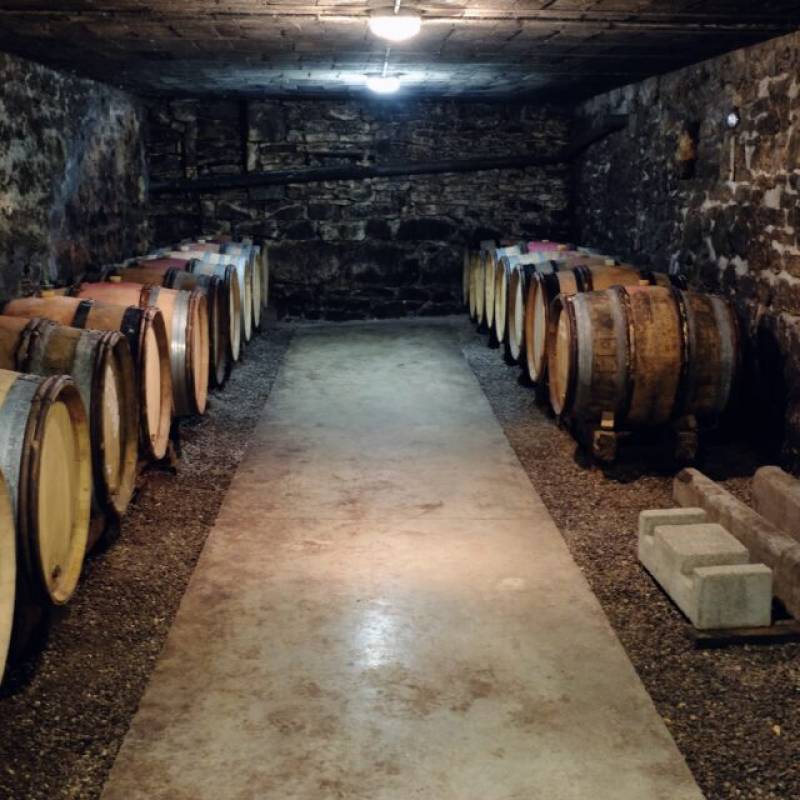 Box Degustazione - Vin Noe