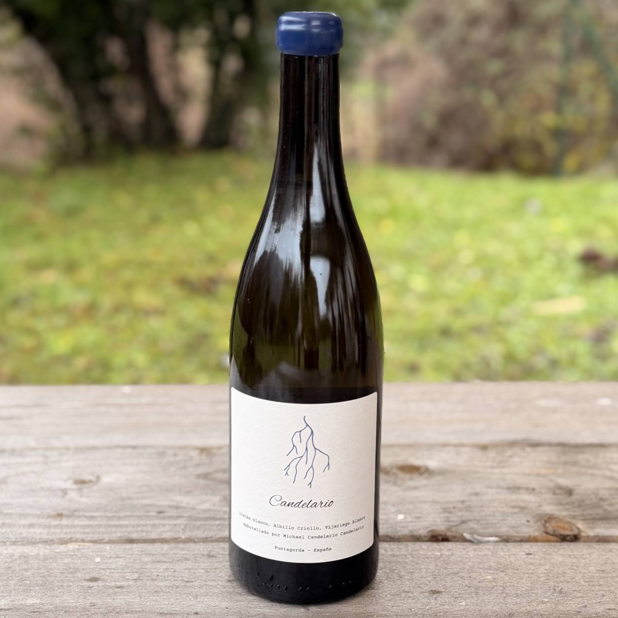 Bodega Candelario Vino Blanco 2024