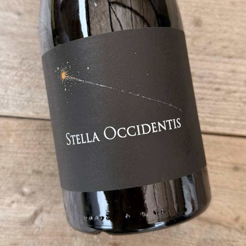Stella Occidentis 2023