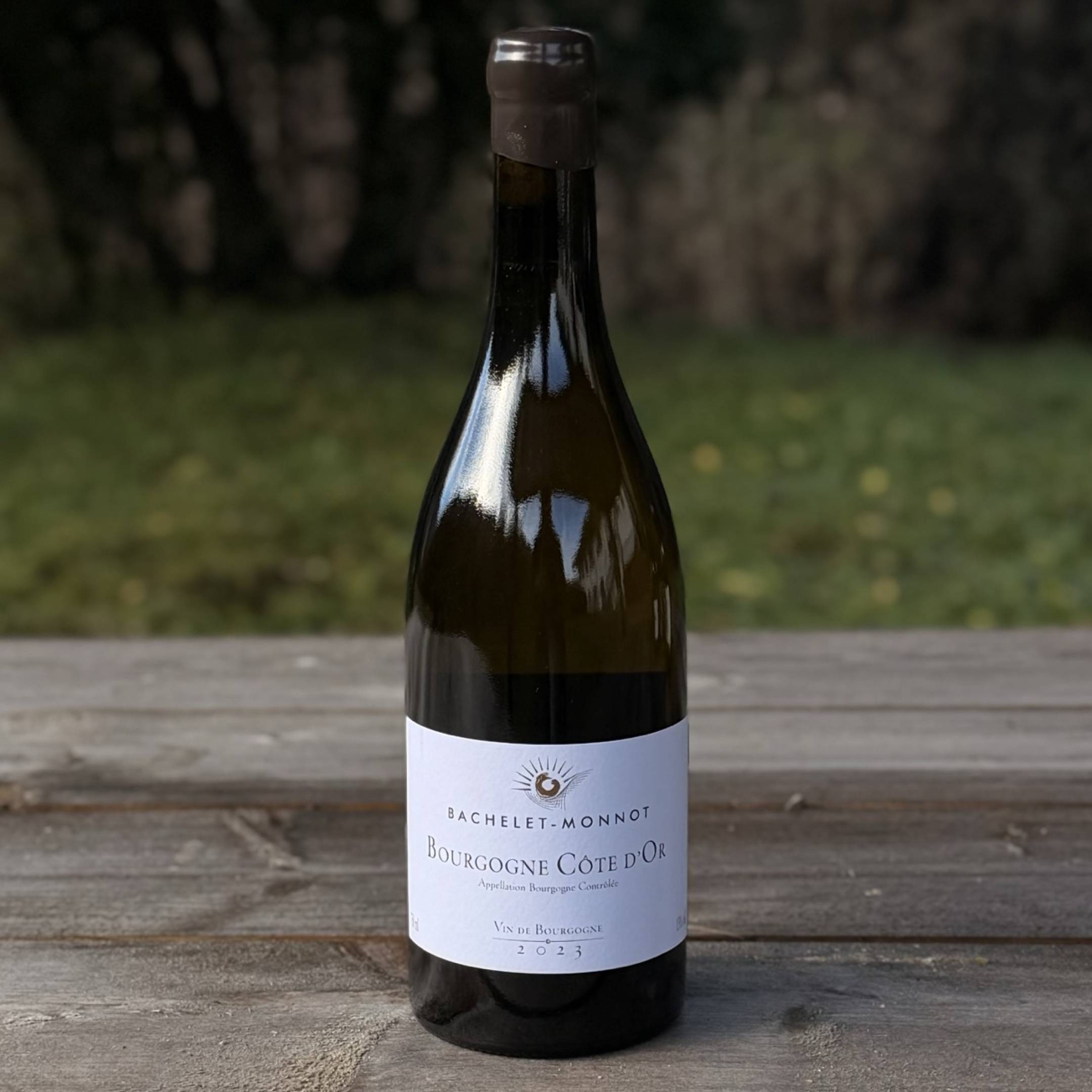 Bachelet Monnot Bourgogne Cote d'Or Blanc 2023