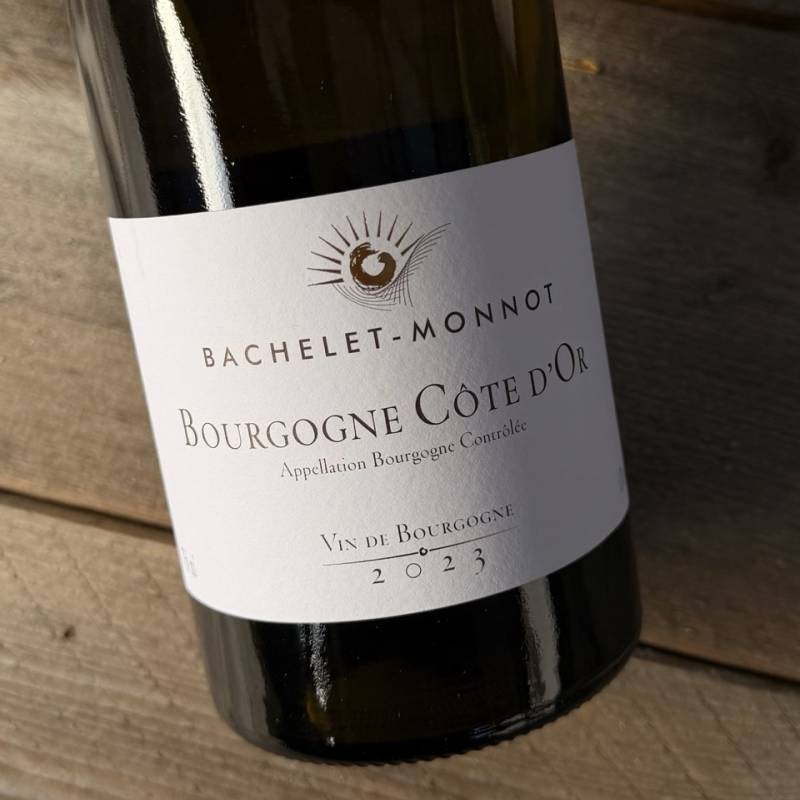 Bourgogne Cote d'Or Blanc 2023