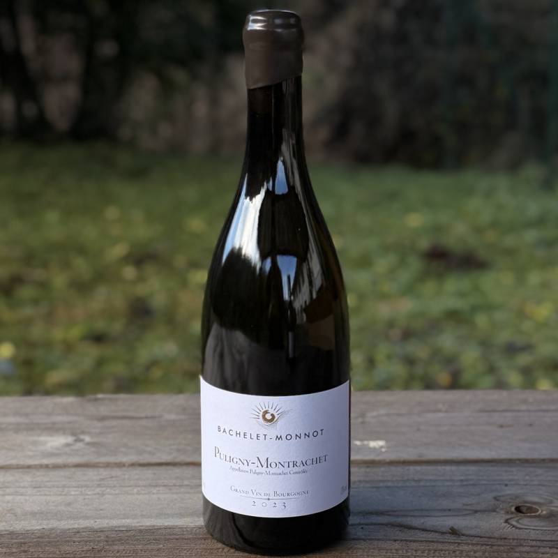 Puligny Montrachet 2023