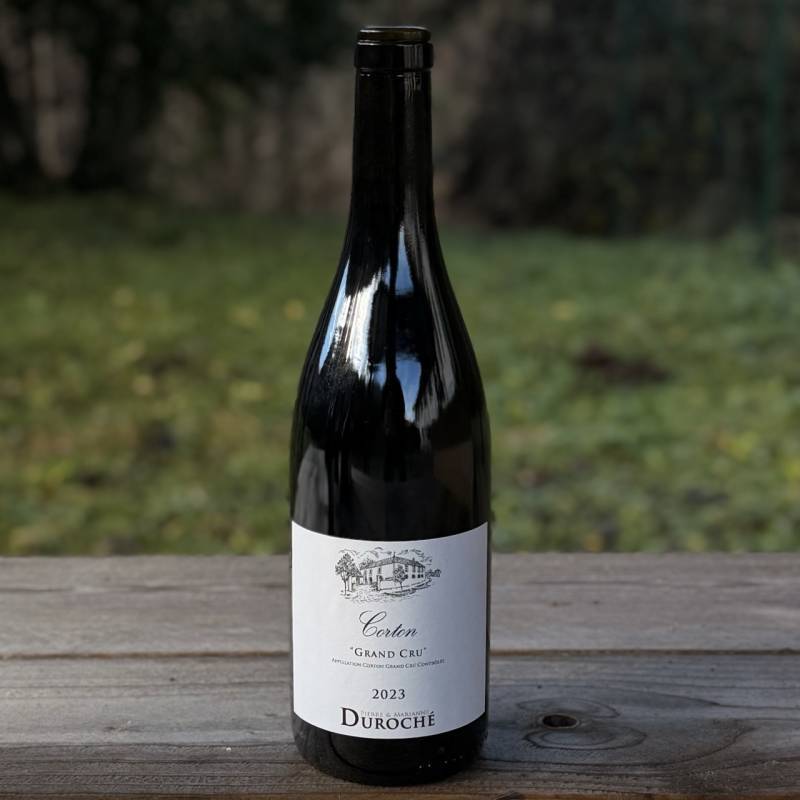 Gevrey Chambertin Champ 2023