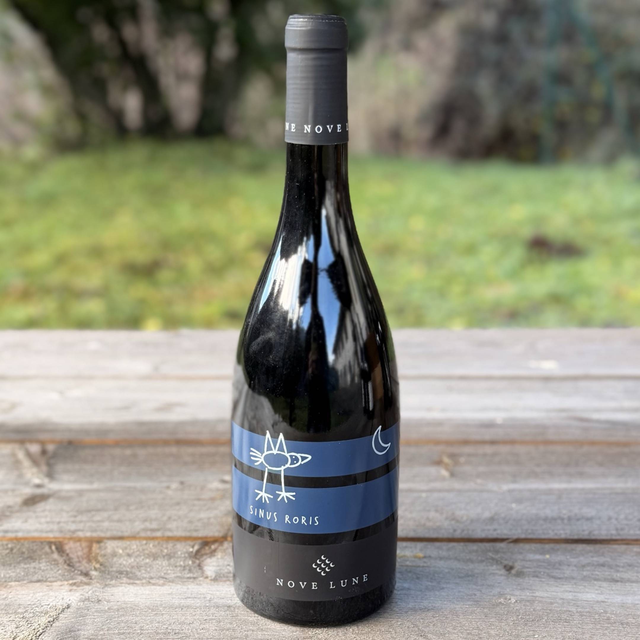 Nove Lune Sinus Roris