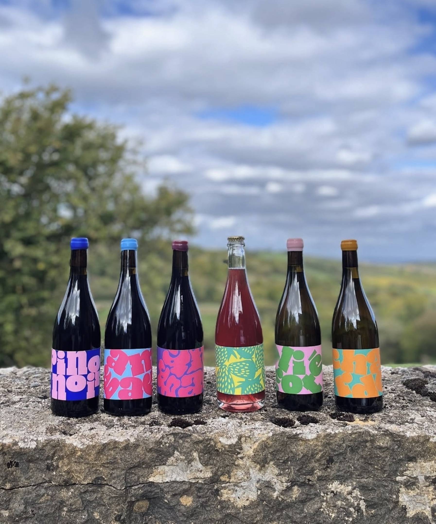 Club Canon: Il "Garage Club" della Côte Chalonnaise