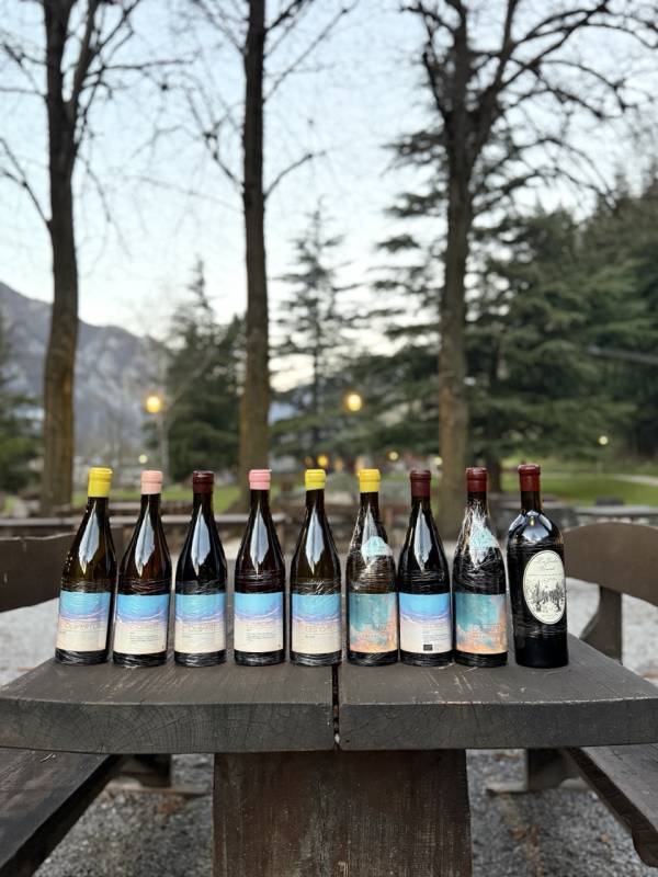 Tino Kuban: Il Mito delle 186 Bottiglie