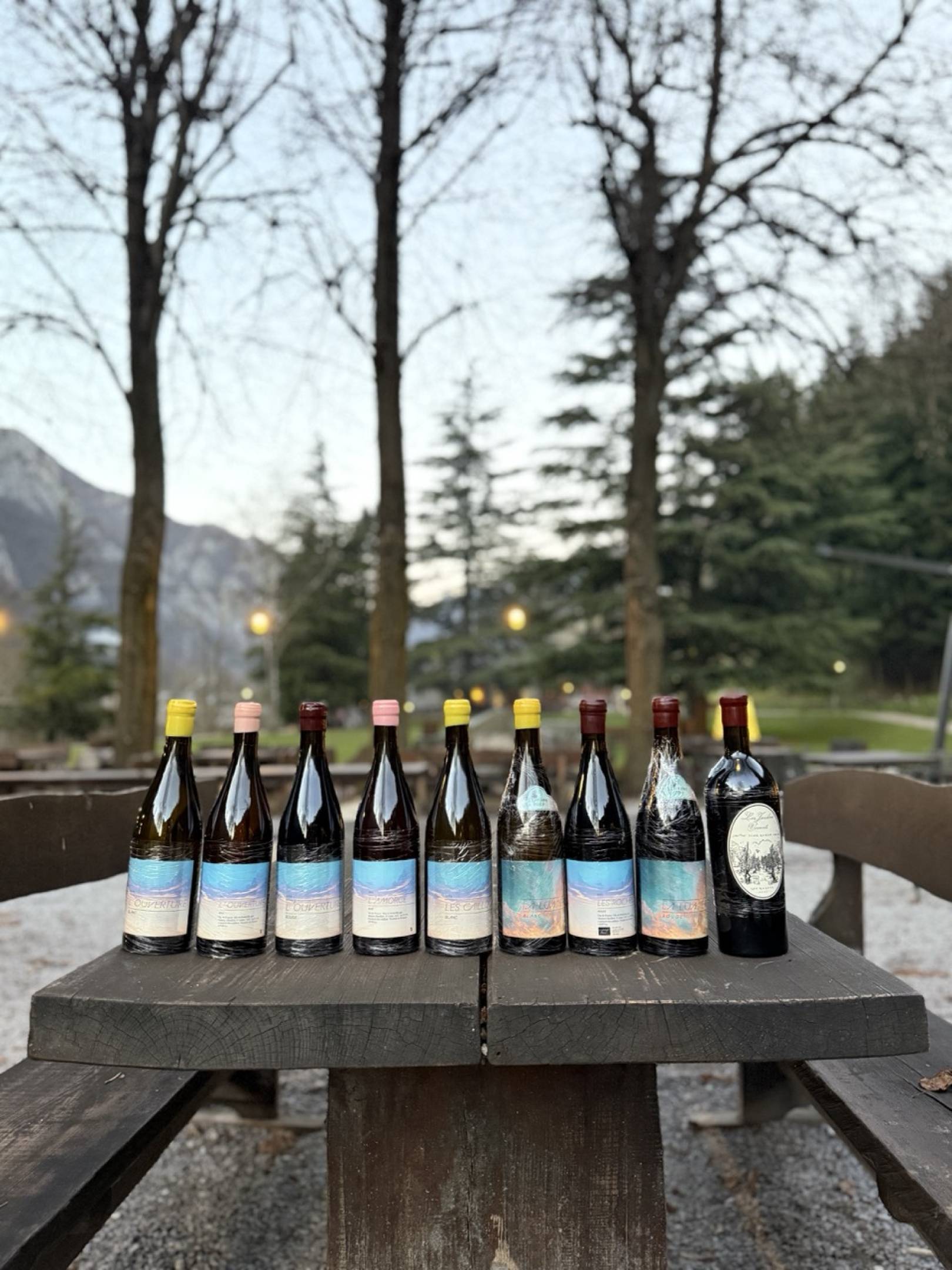 Tino Kuban: Il Mito delle 186 Bottiglie