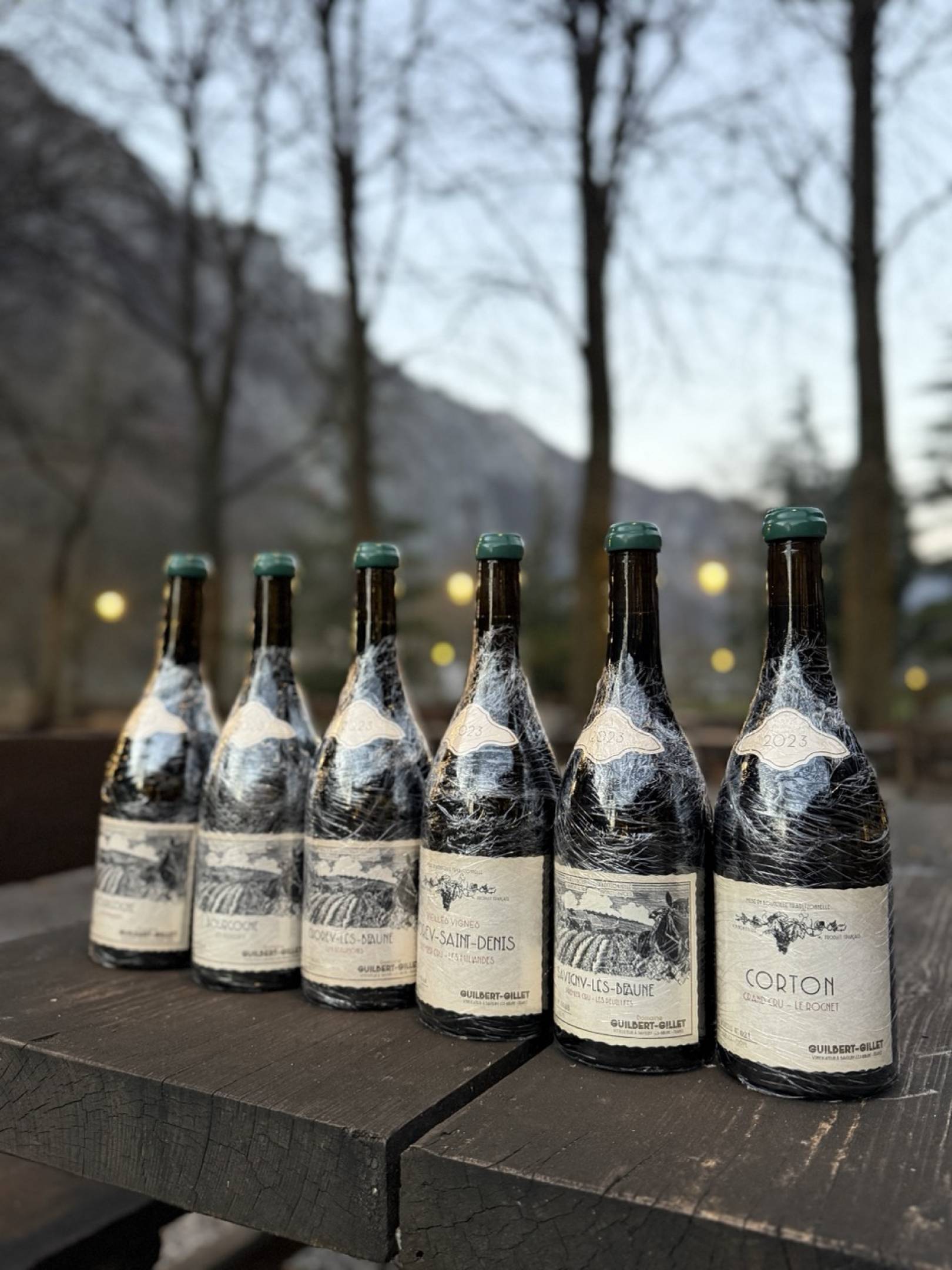 Benjamin Guilbert: L'Eredità di Jacky Truchot e il Futuro Antico della Borgogna