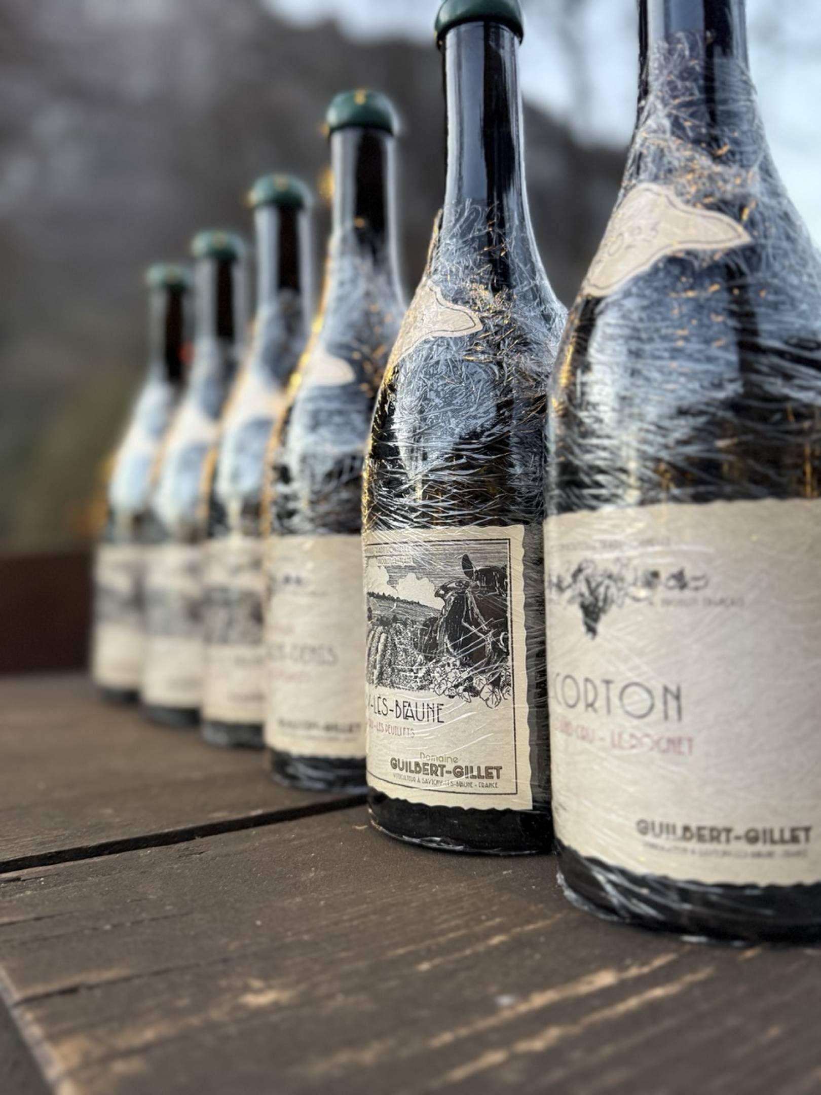 Benjamin Guilbert: L'Eredità di Jacky Truchot e il Futuro Antico della Borgogna