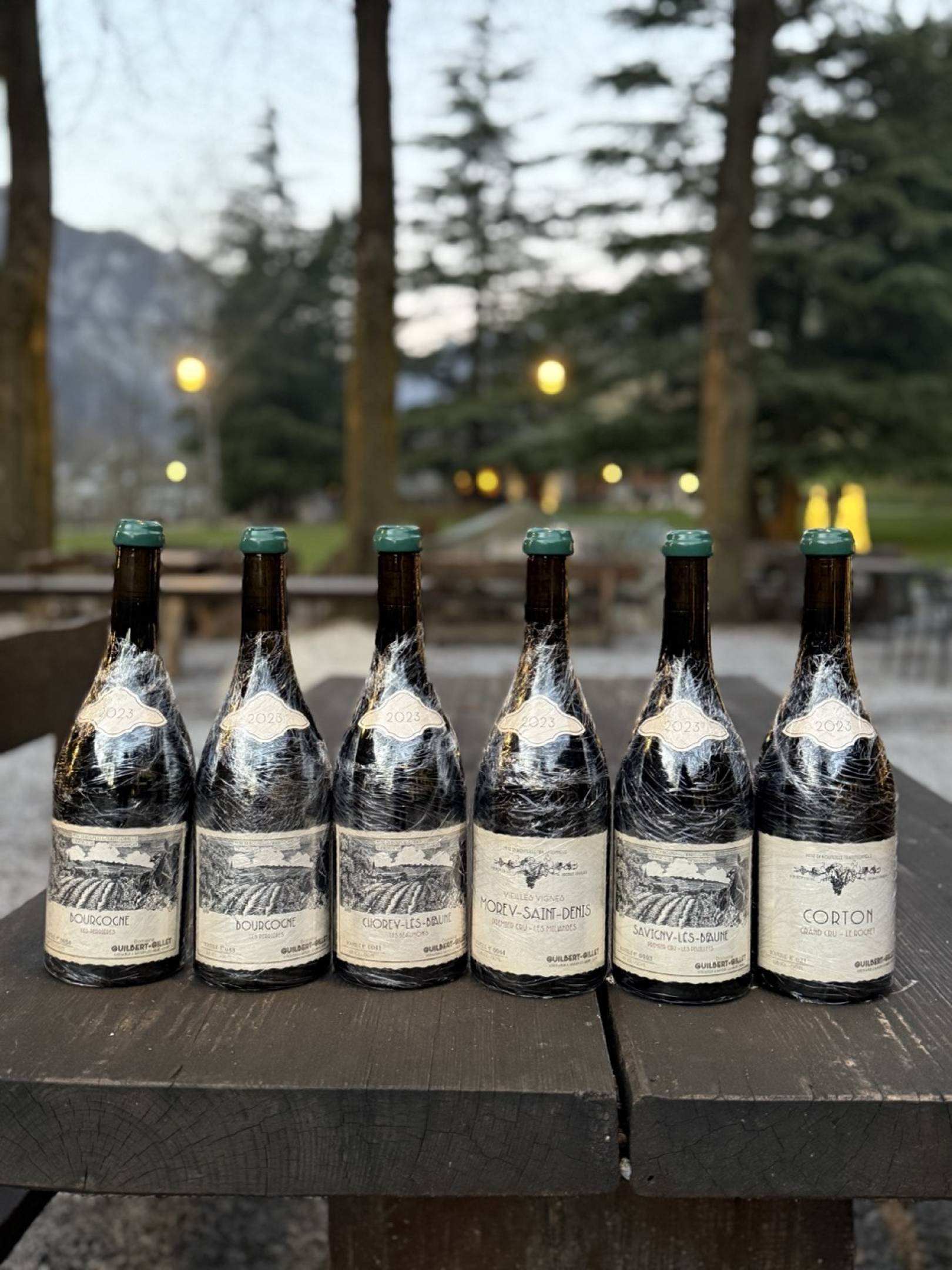 Benjamin Guilbert: L'Eredità di Jacky Truchot e il Futuro Antico della Borgogna