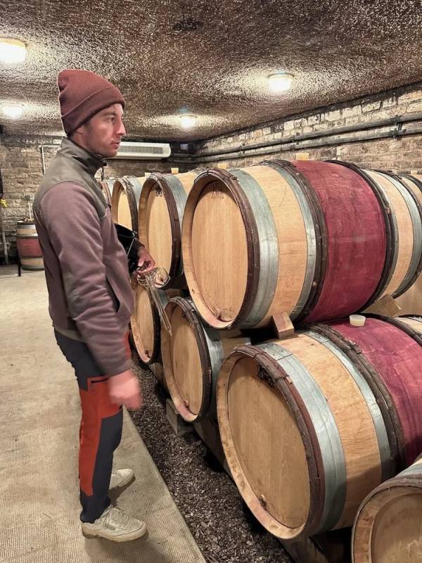 Benjamin Guilbert: L'Eredità di Jacky Truchot e il Futuro Antico della Borgogna