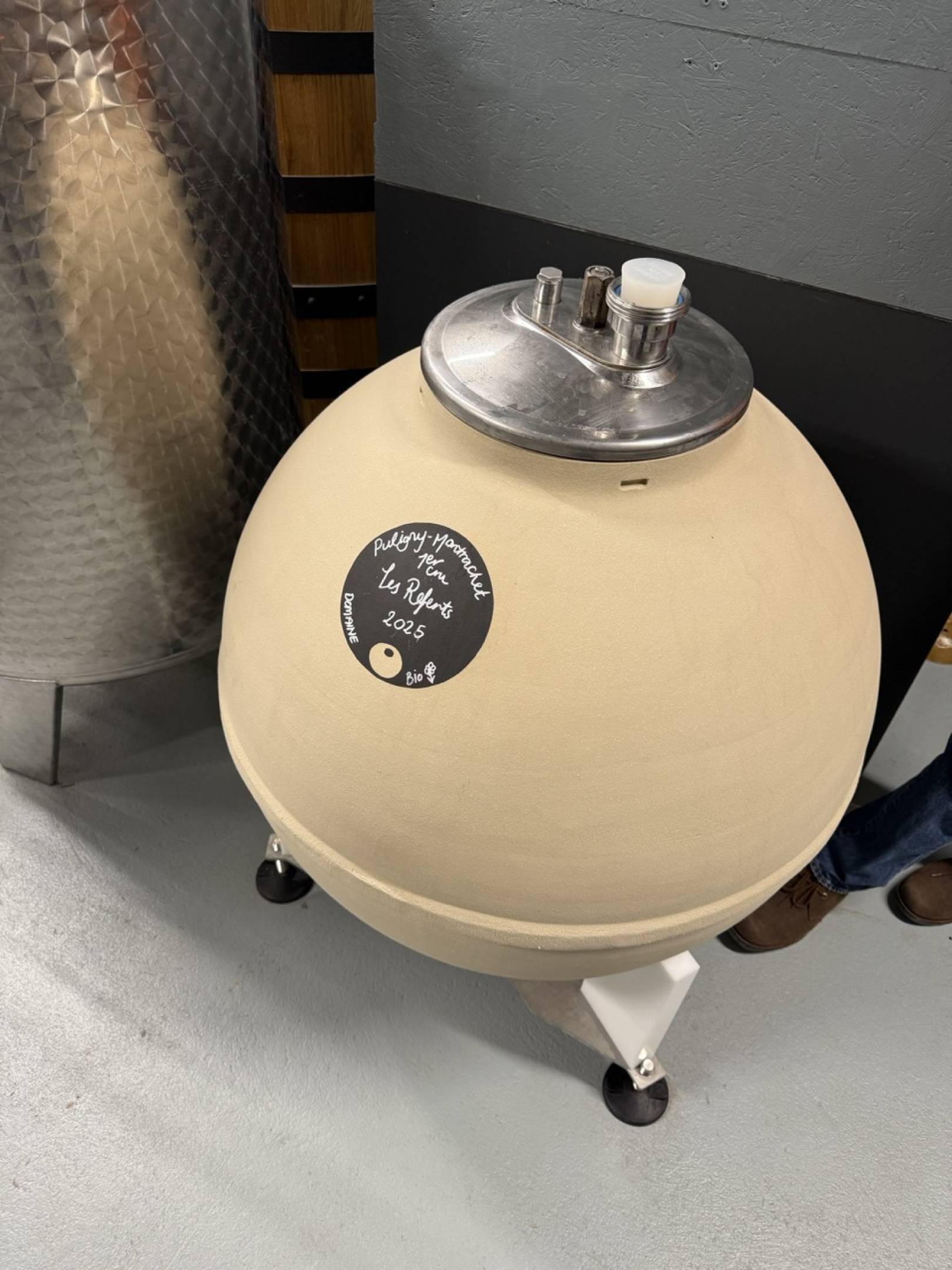 Alexandra D’Alussia: La "Sarta del Terroir" e la sfida della Borgogna 2023