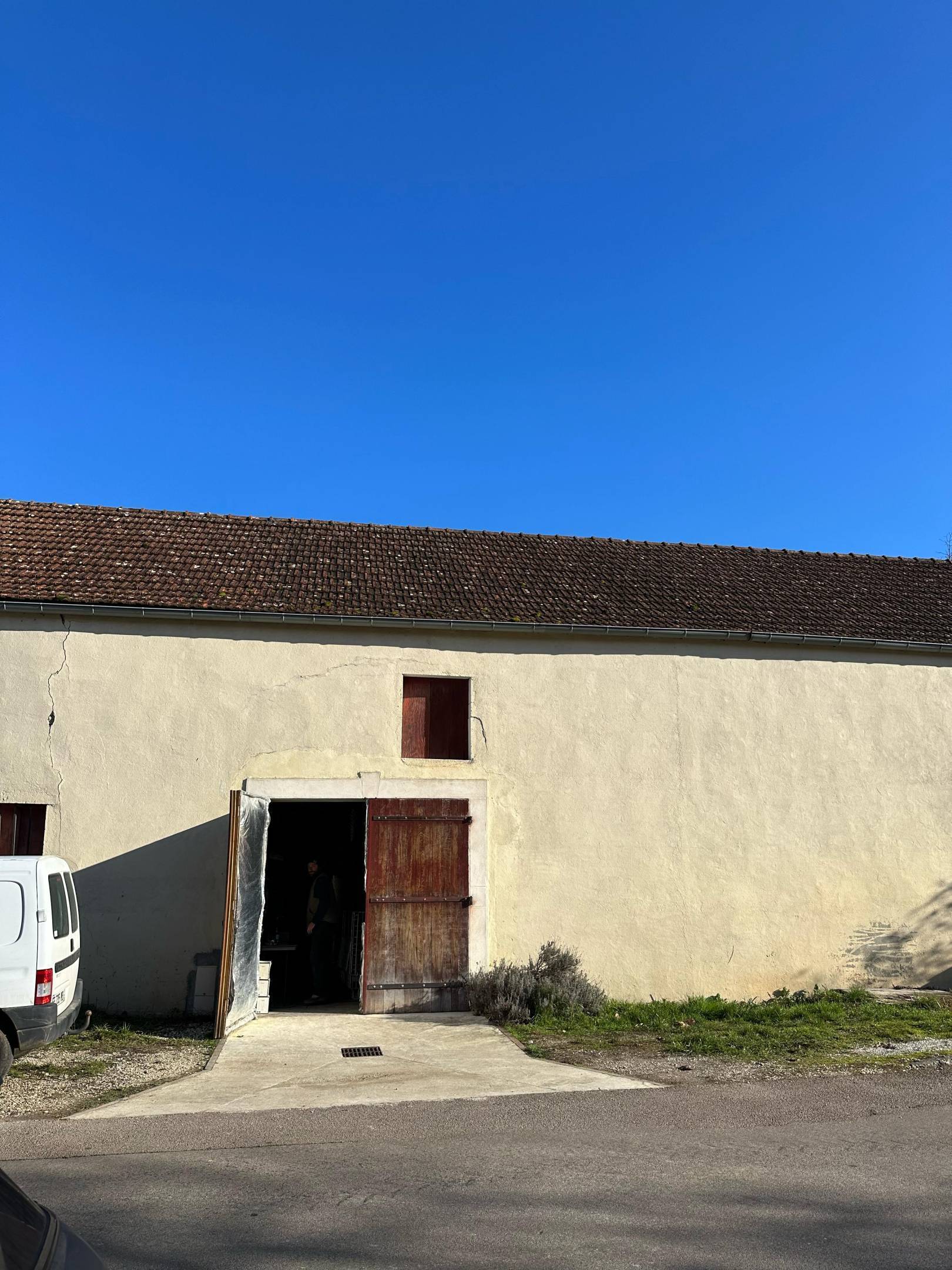 Vin Noé: Le belle persone portano belle persone.