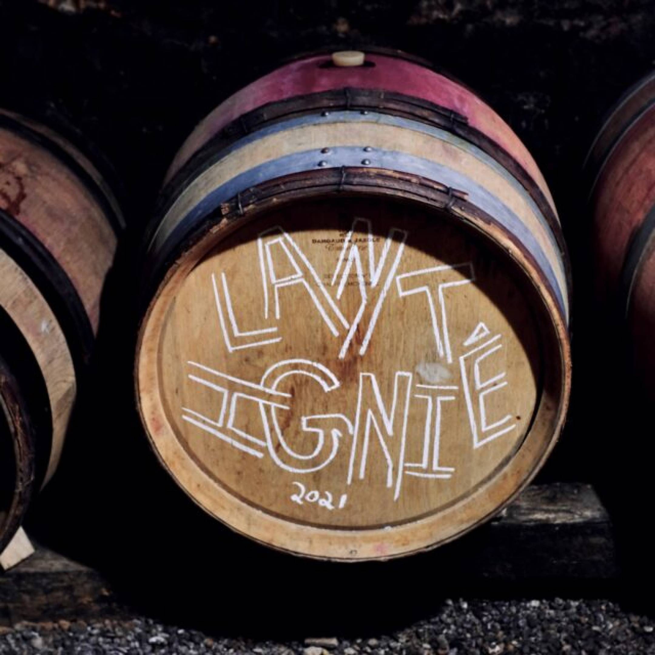 Vin Noé: Le belle persone portano belle persone.