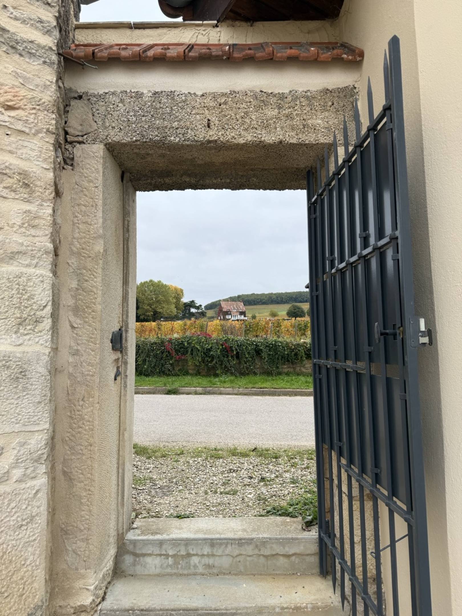 Alussia: la Borgogna senza trucco di Alexandra Wilson