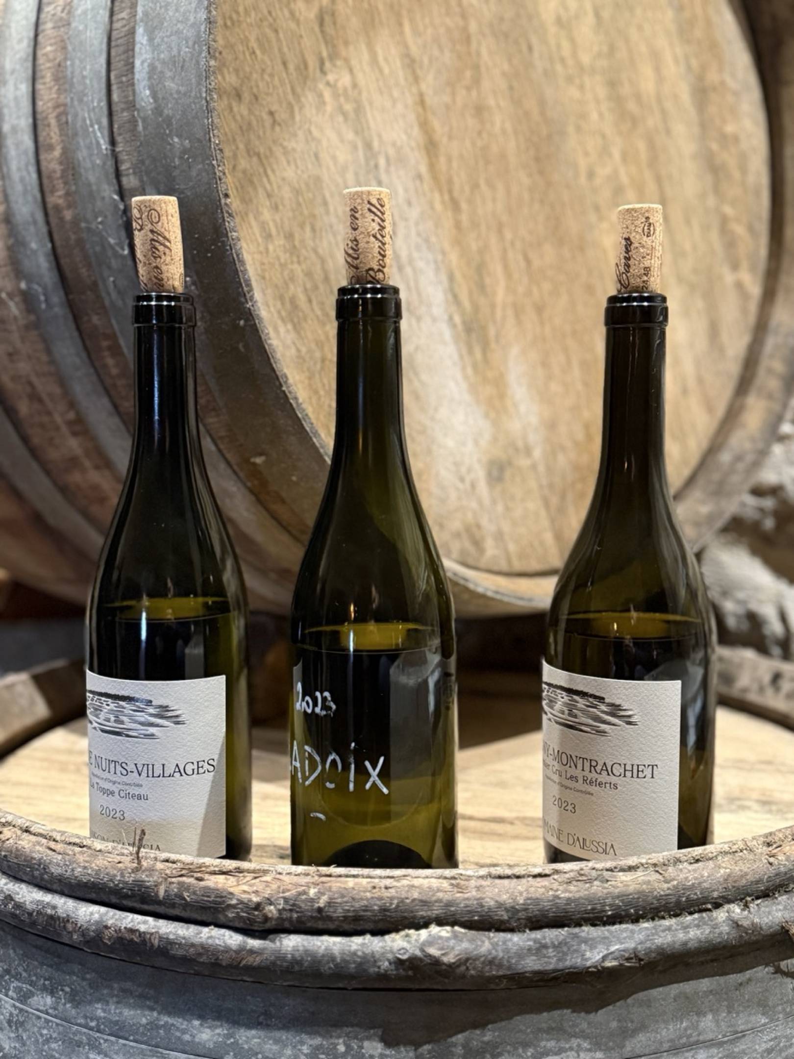 Alussia: la Borgogna senza trucco di Alexandra Wilson