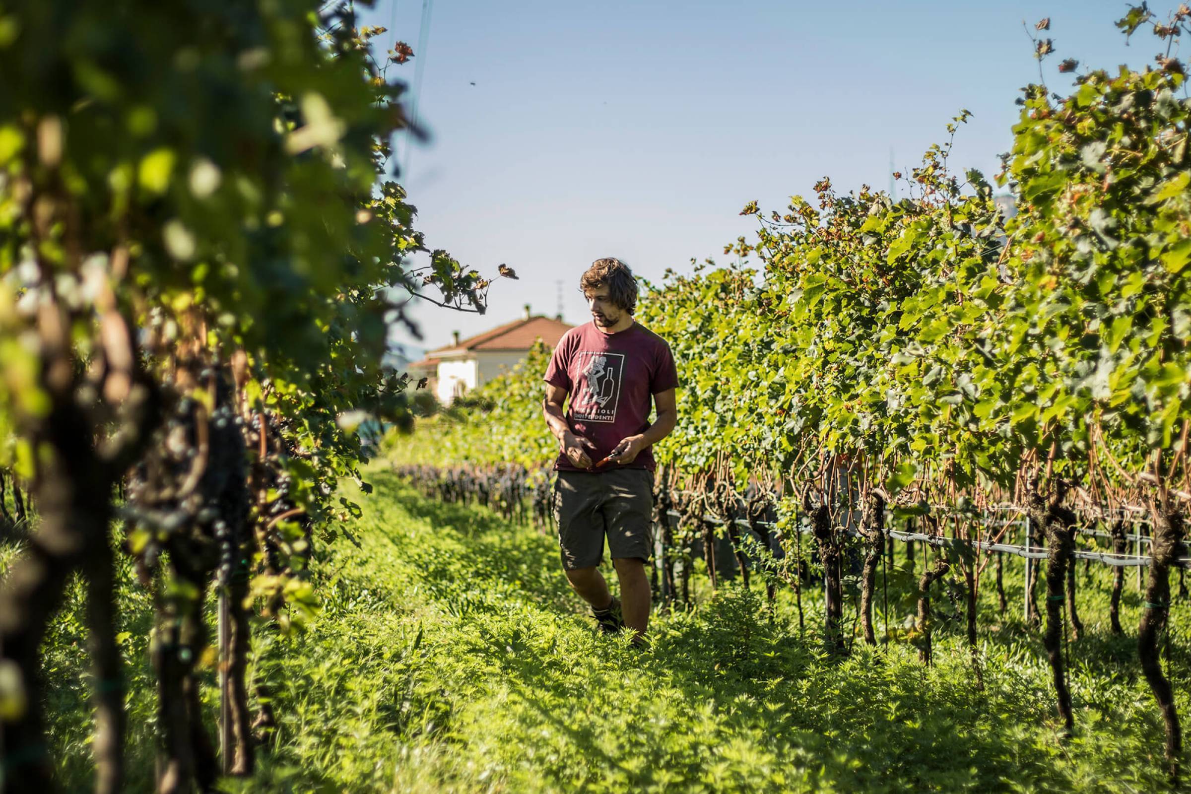 Comai: la svolta elettrica della "Busa"