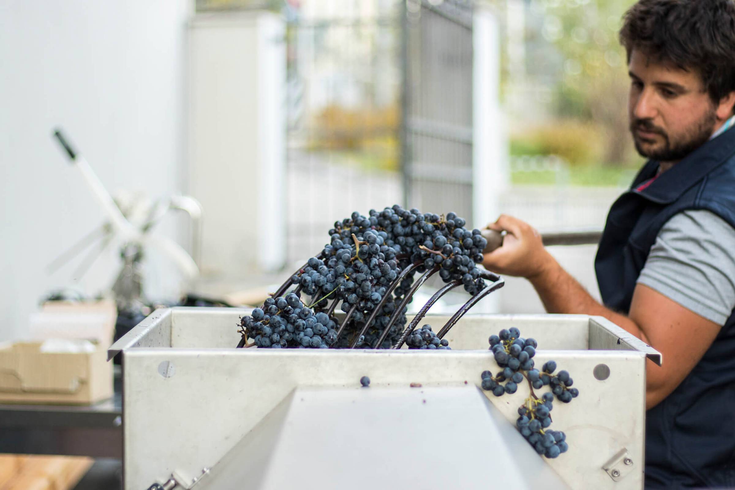 Comai: la svolta elettrica della "Busa"