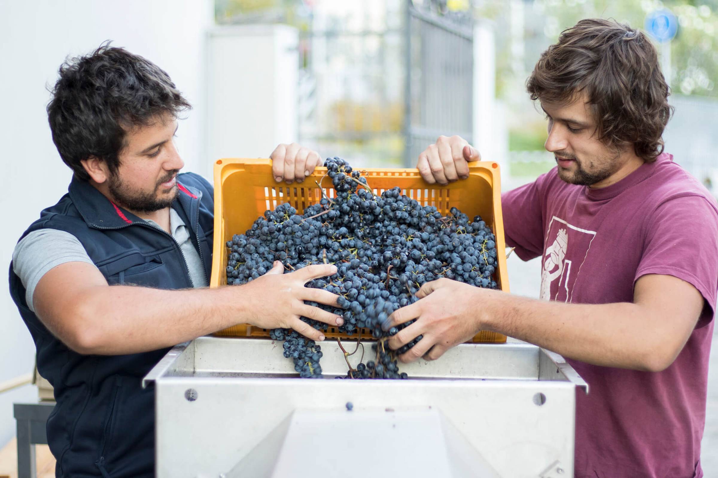 Comai: la svolta elettrica della "Busa"