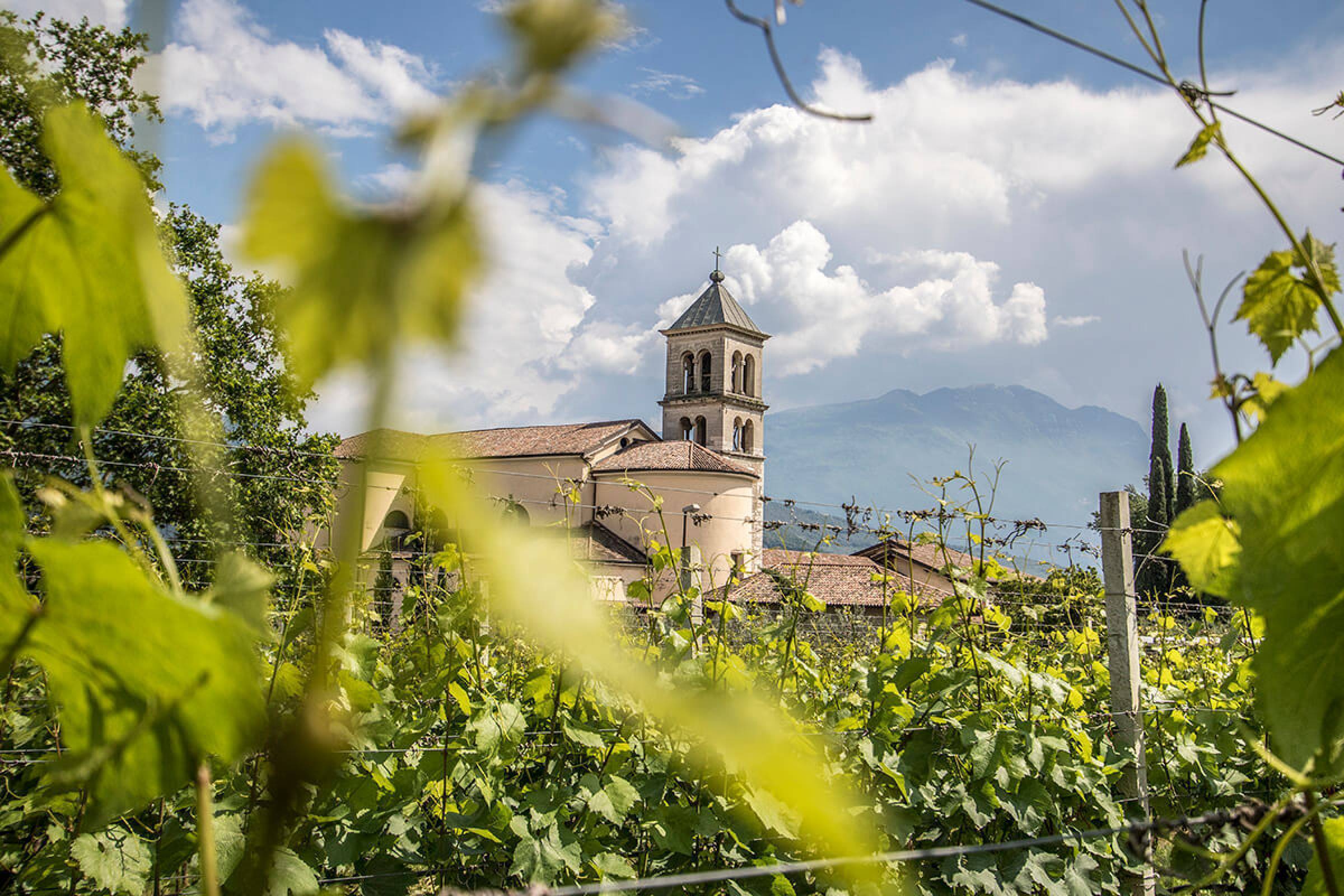 Comai: la svolta elettrica della "Busa"