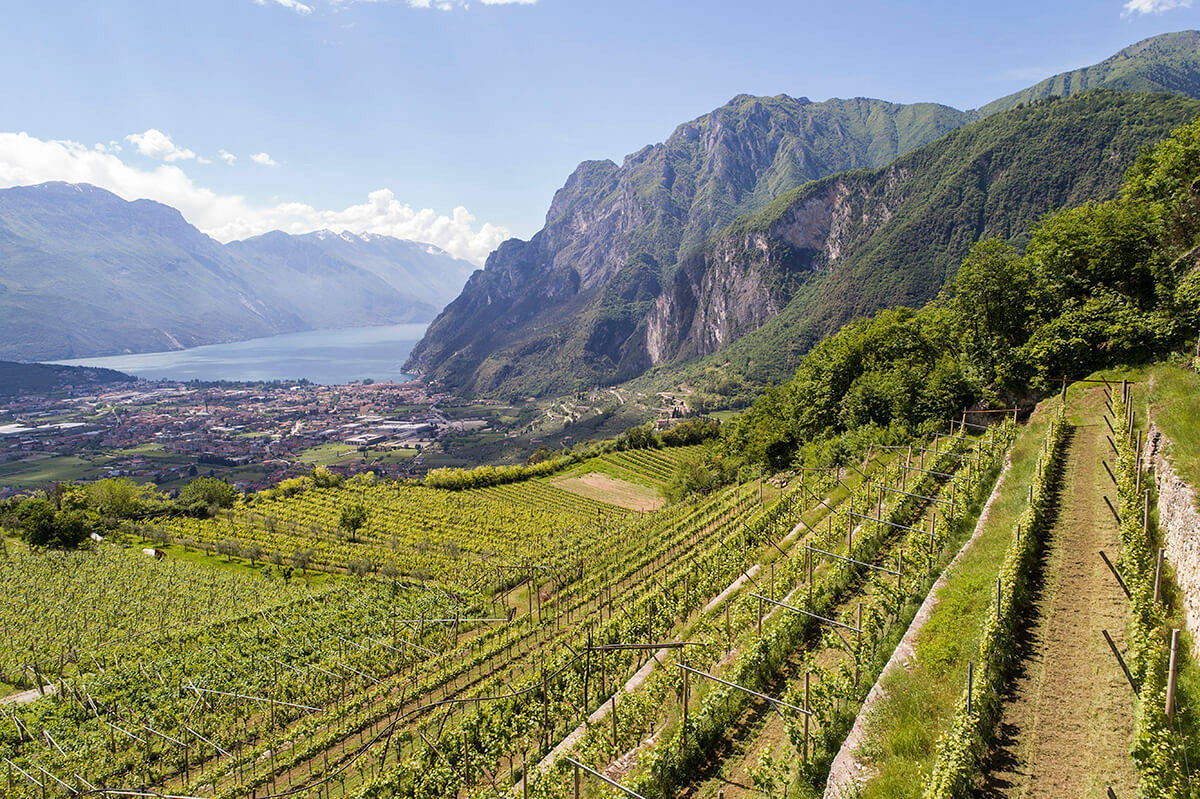 Comai: la svolta elettrica della "Busa"