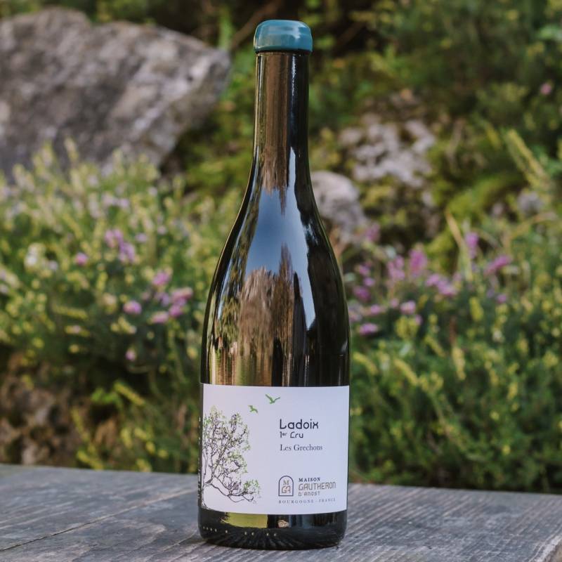Ladoix 1er Cru Les Grechons
