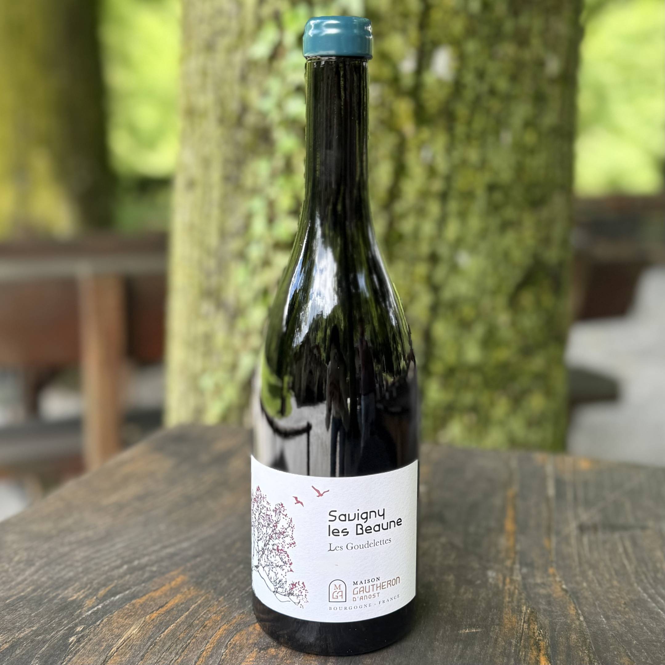 Gautheron d'Anost Savigny Les Beaune Les Goudelettes