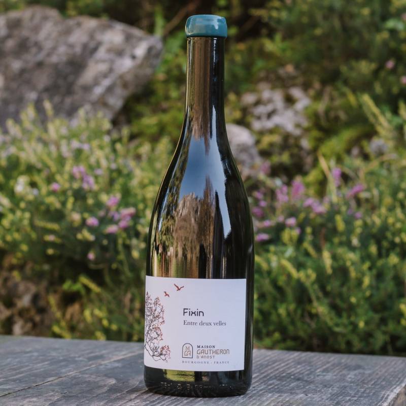 Gevrey Chambertin Combe du Bas