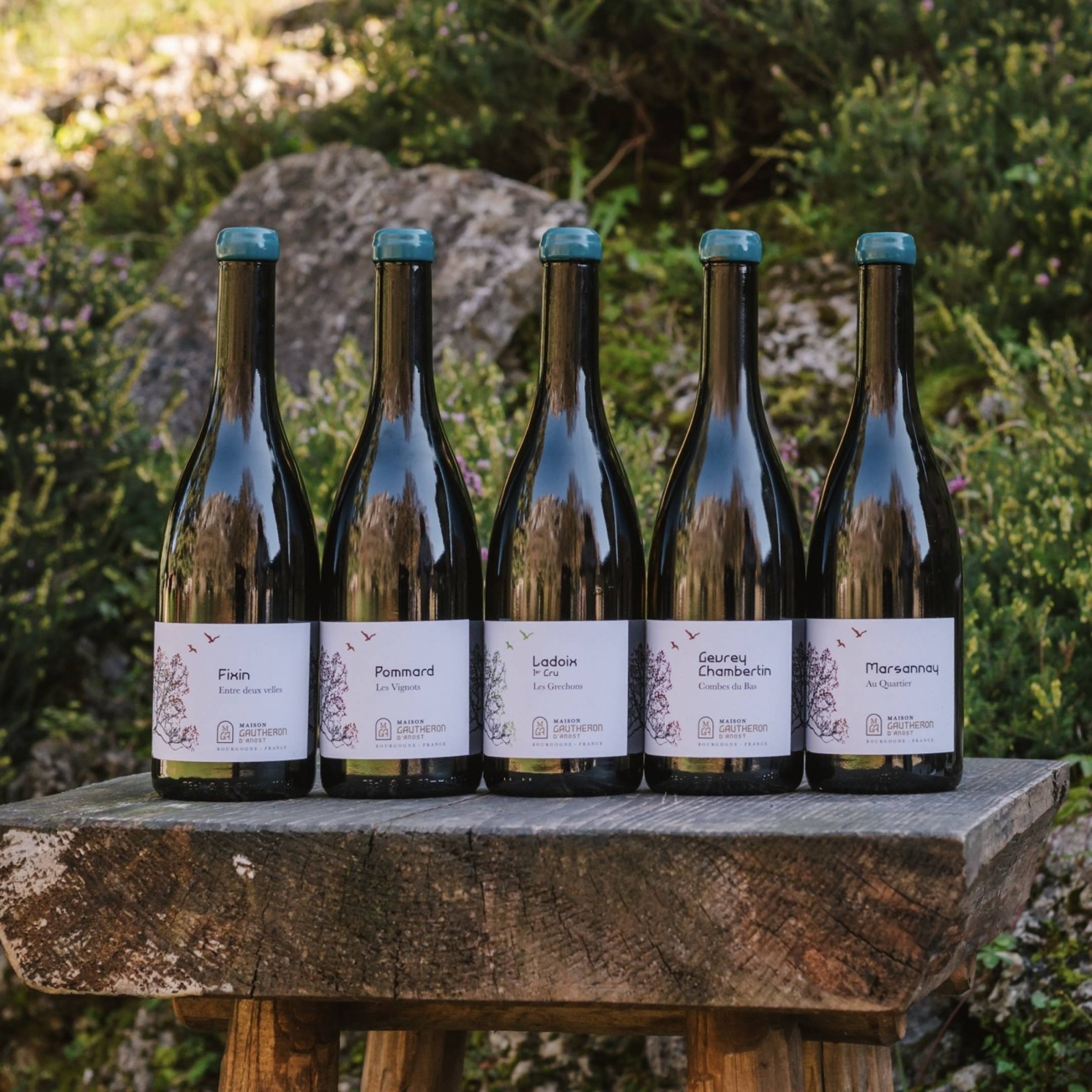 Gautheron d'Anost: new entry distribuzione Wild Vigneron