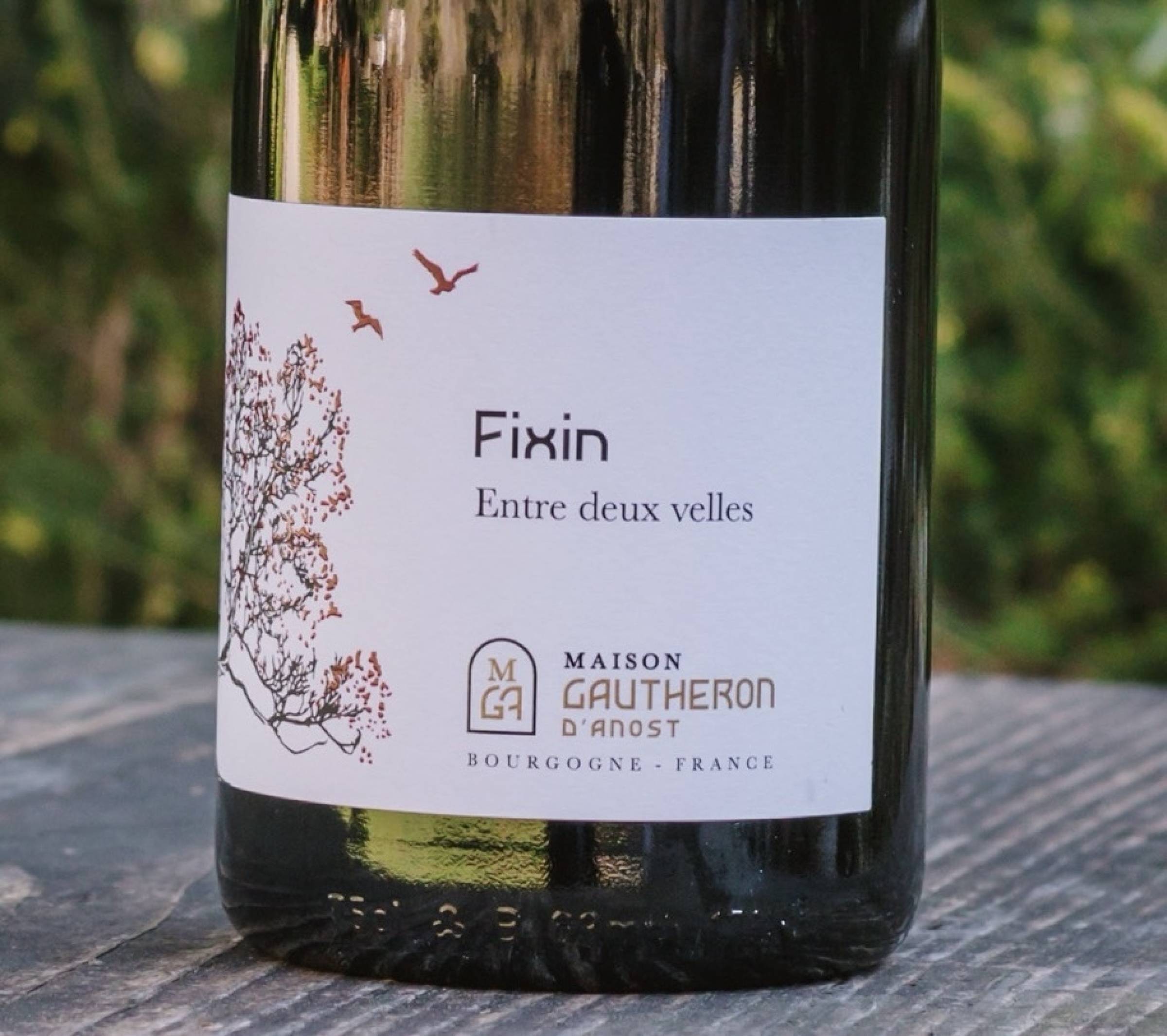 Gautheron d'Anost: new entry distribuzione Wild Vigneron