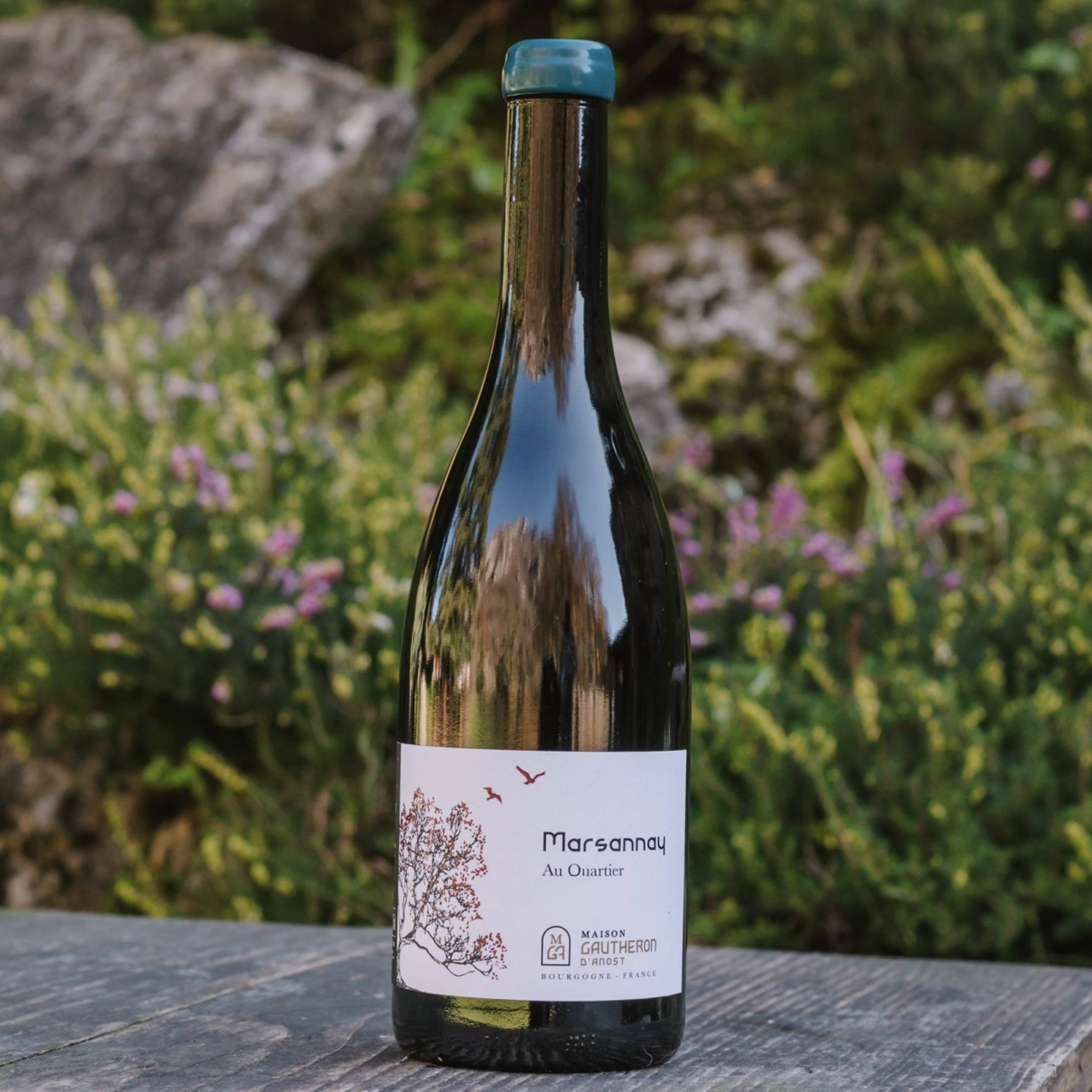 Gautheron d'Anost: new entry distribuzione Wild Vigneron