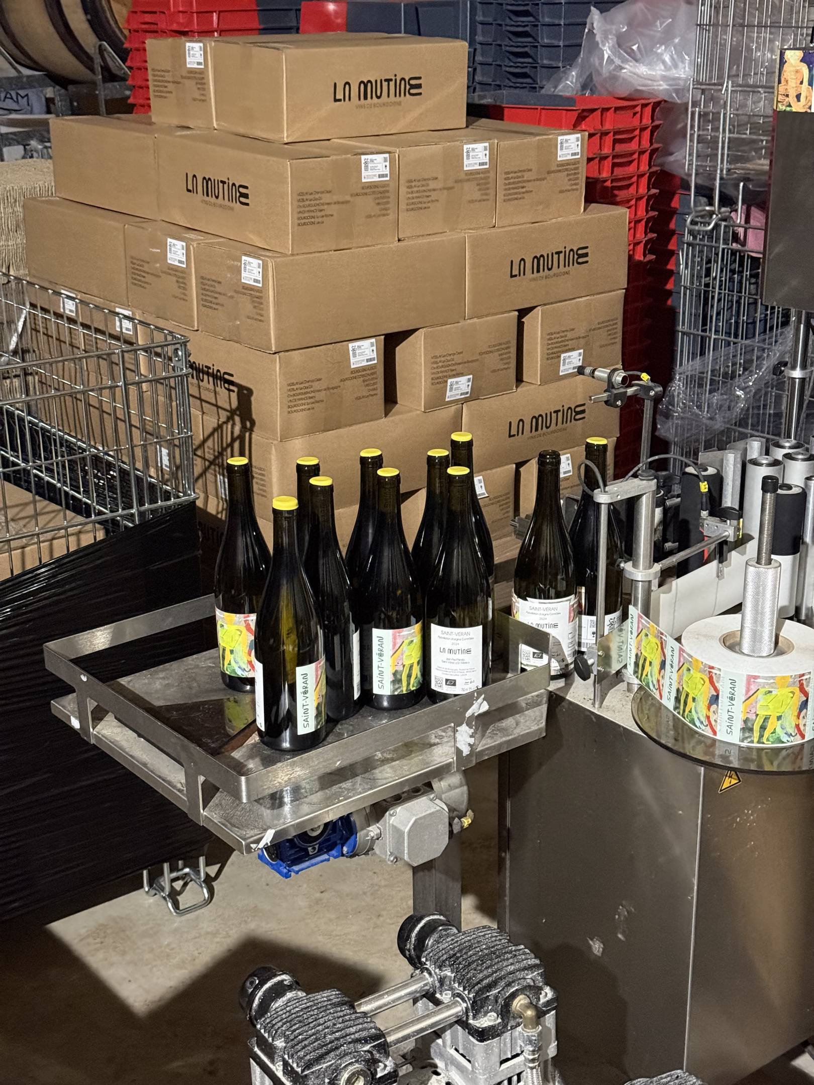 Domaine La Mutine: La ribellione minerale di Jean-Paul Pando tra i calcarei di Vézelay