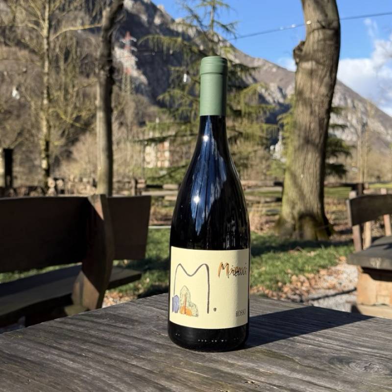 Vino Rosso DOC Friuli