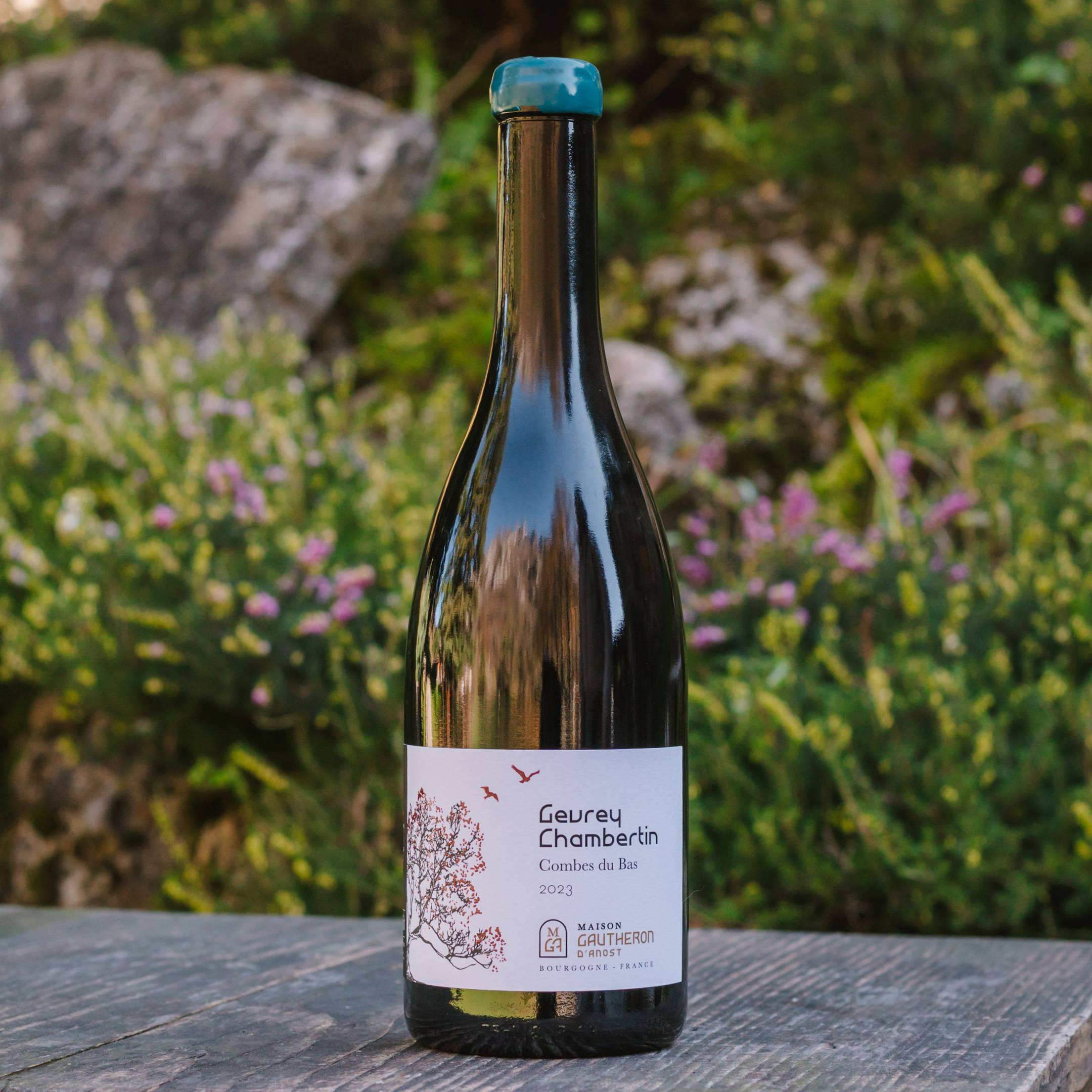 Gautheron d'Anost Gevrey Chambertin Combe du Bas