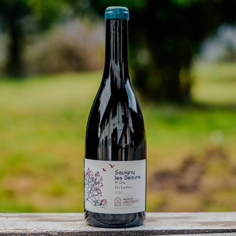 Savigny les Beaune 1er Cru Les Lavieres