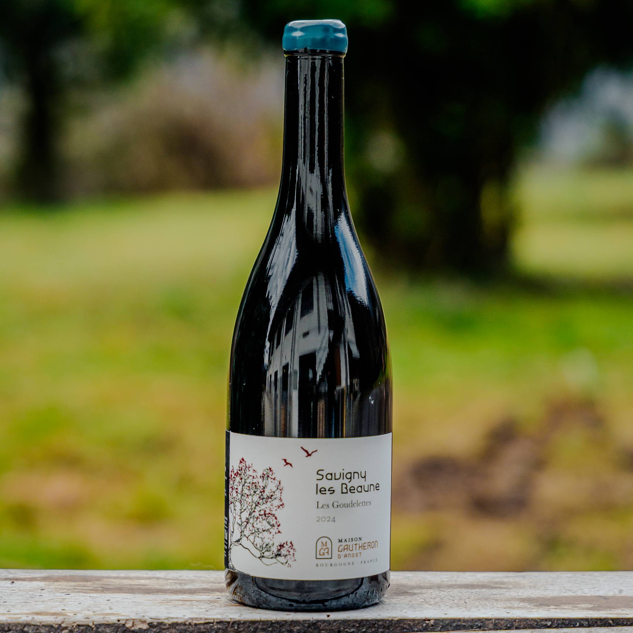 Gautheron d'Anost Savigny Les Beaune Les Goudelettes