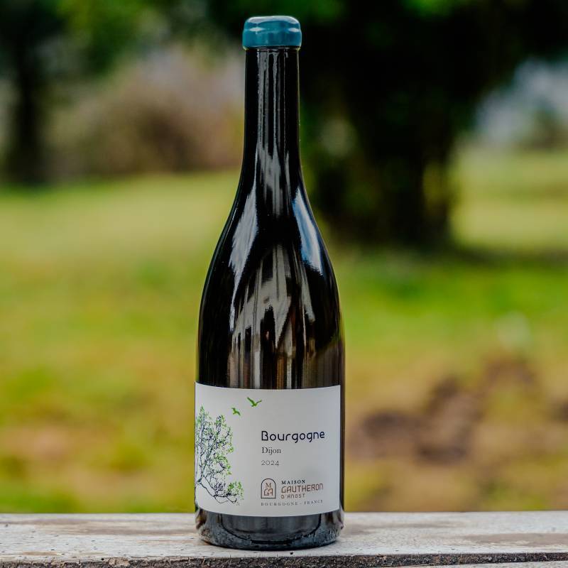 Bourgogne Dijon