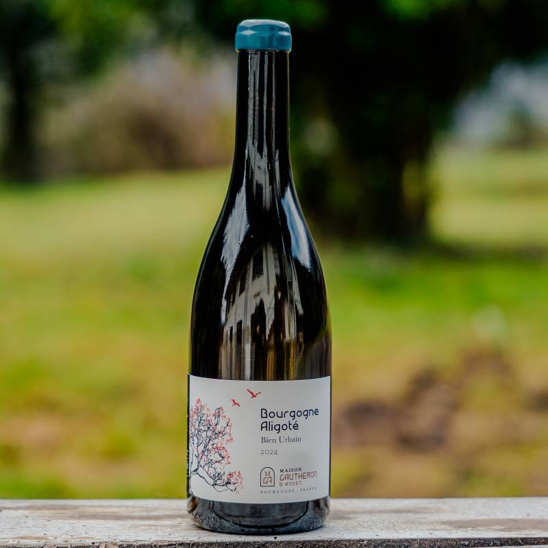 Bourgogne Aligote Le Bien Urbain