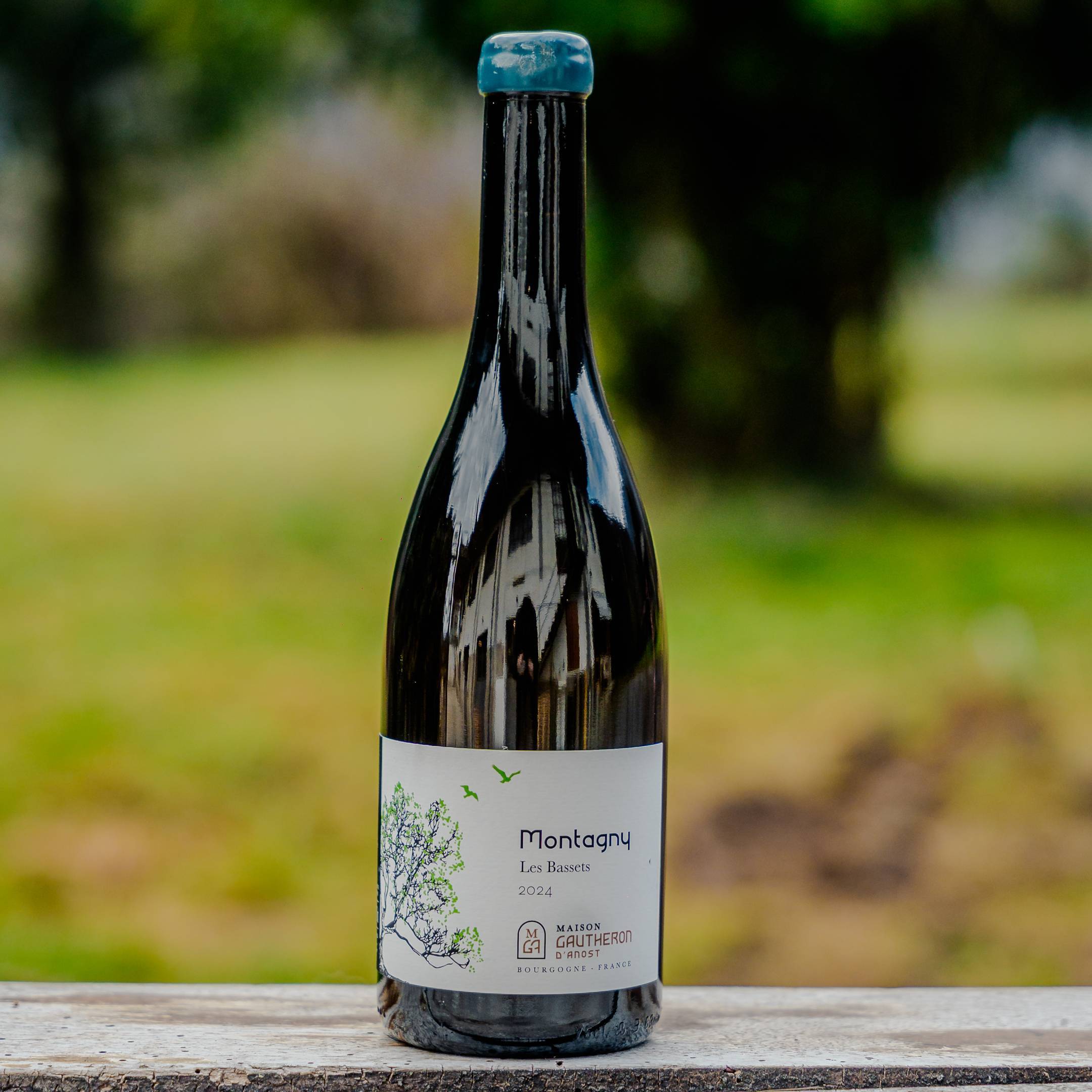 Gautheron d'Anost Montagny Les Bassets