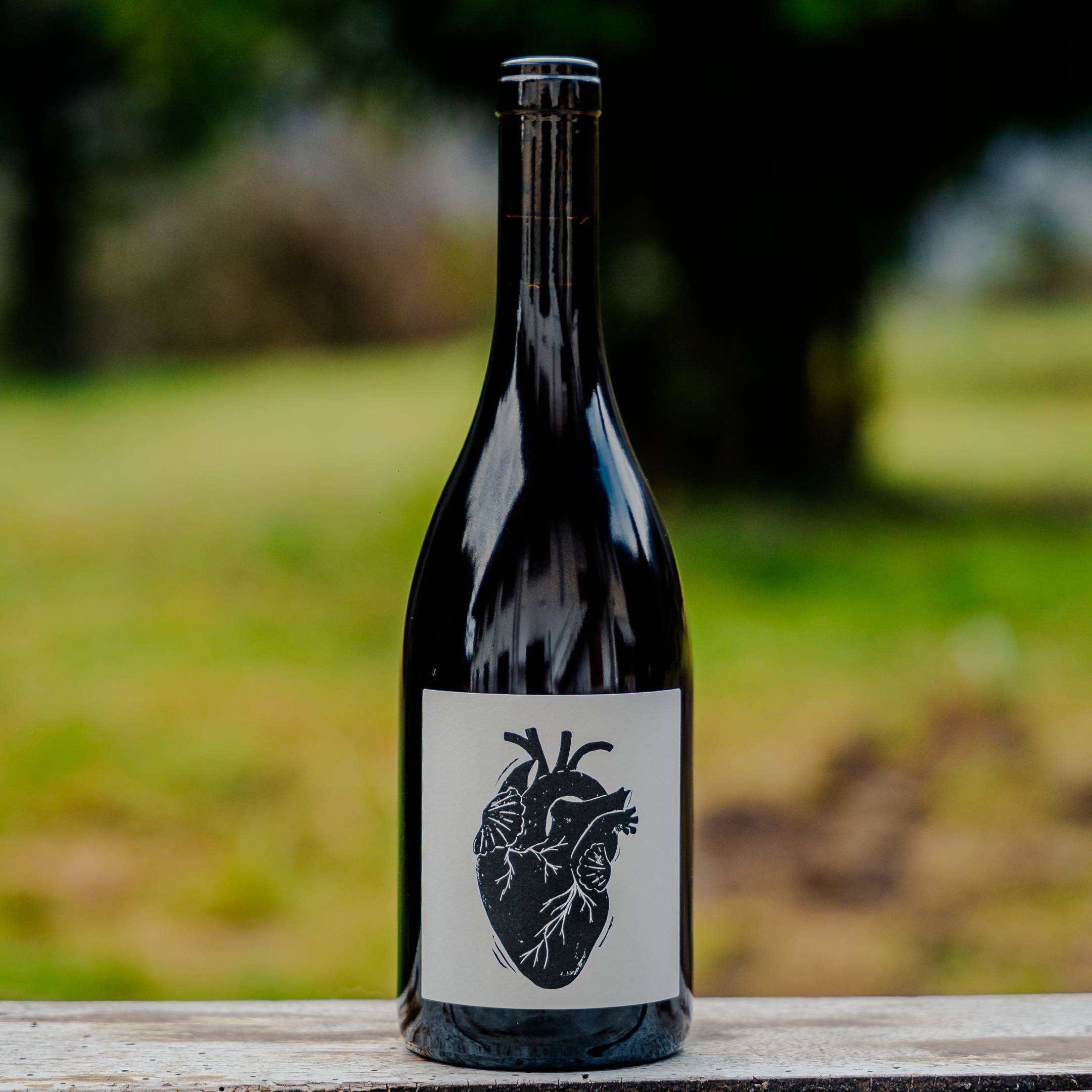 Vin Noé Jonathan Purcell Amour Vache 2024