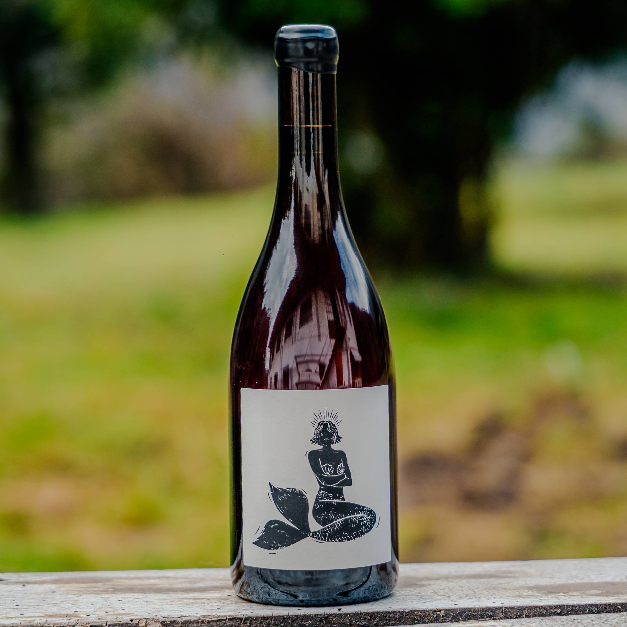 Vin Noé Jonathan Purcell Gueule d'Amour Bourgogne Pinot Noir 2024